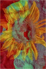#sunflower on fire